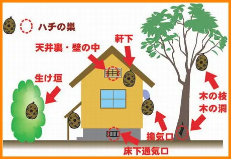 営巣しやすい場所
